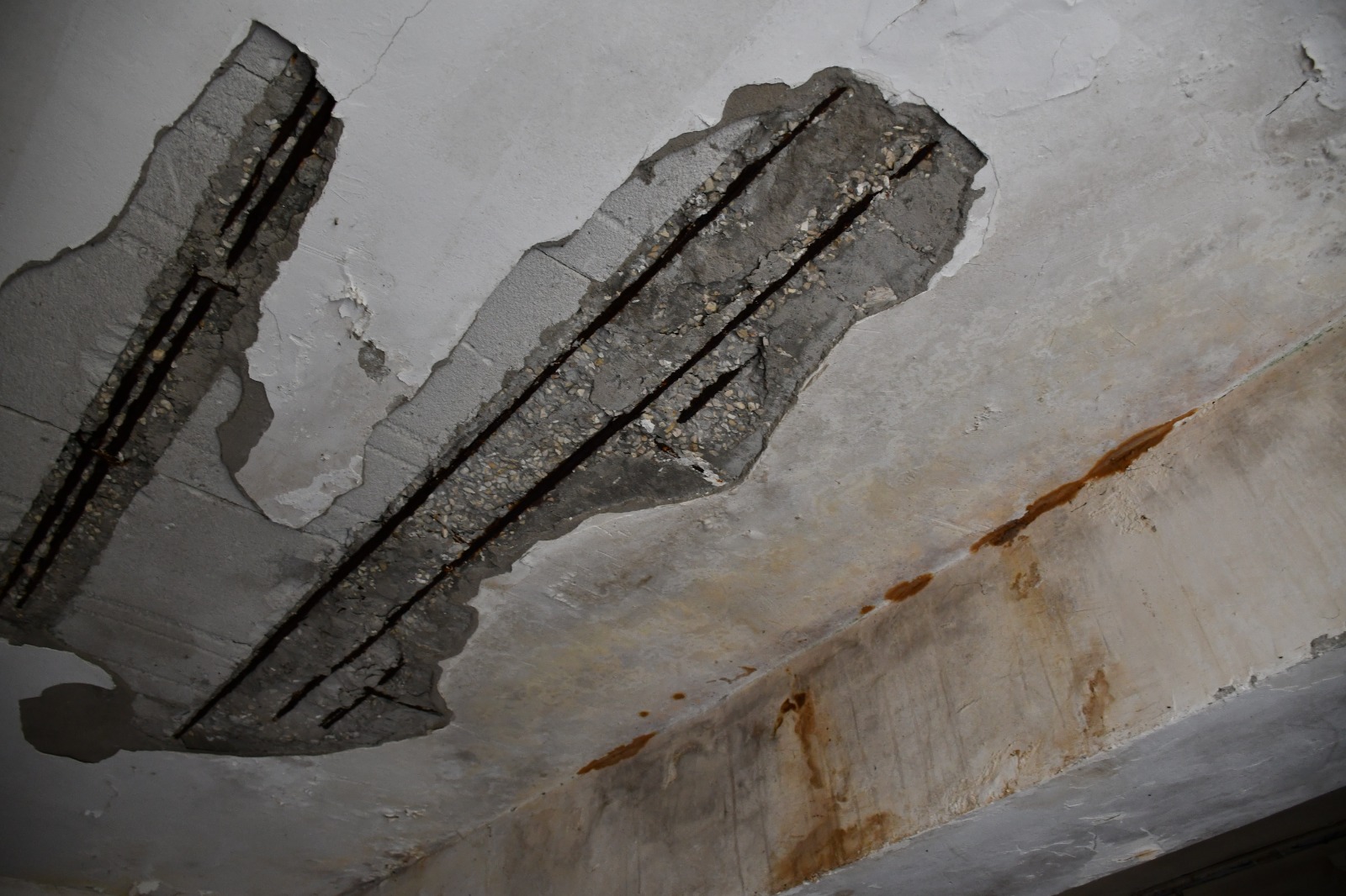 WhatsApp Image 2020-05-17 at 10.14.09 PM (2).jpeg.jpeg